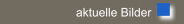aktuelle Bilder