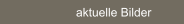 aktuelle Bilder